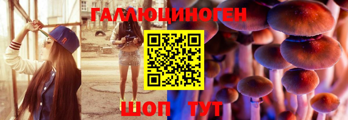 Галлюциногенные грибы Cubensis Азнакаево